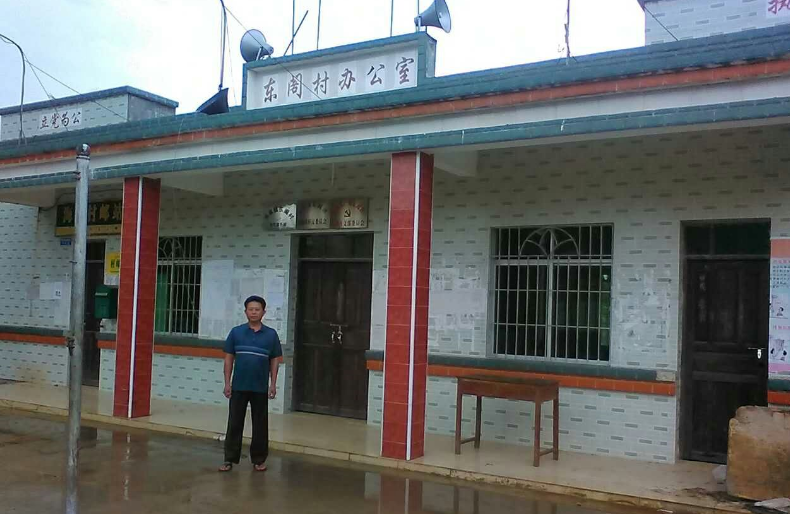 东阁镇东阁村村貌