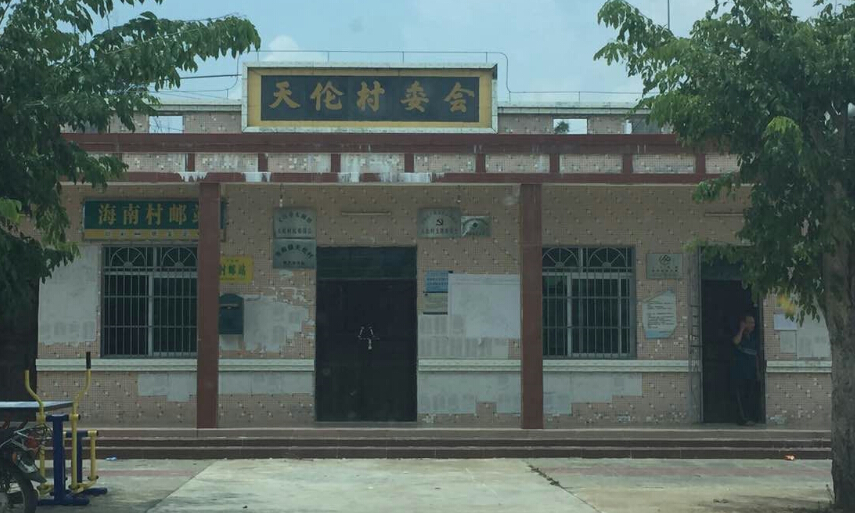 东阁镇天伦村村貌
