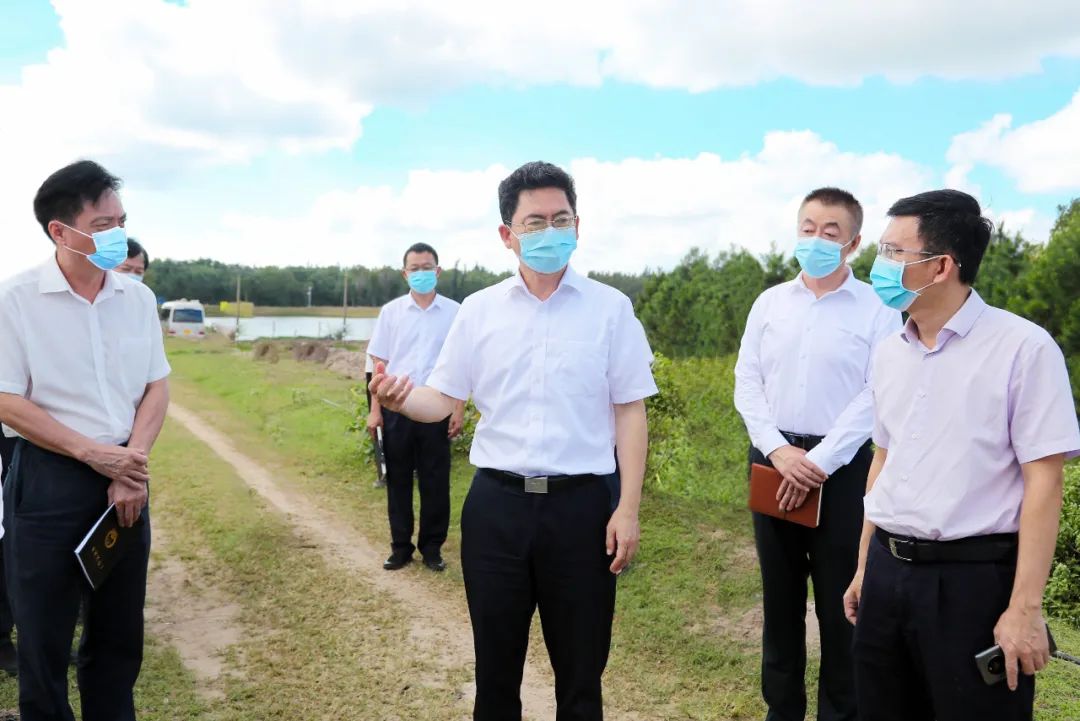  龙卫东调研“六水共治”工作时强调 加强保护管理 加快项目建设 助力文昌“六水共治”工作走深走实