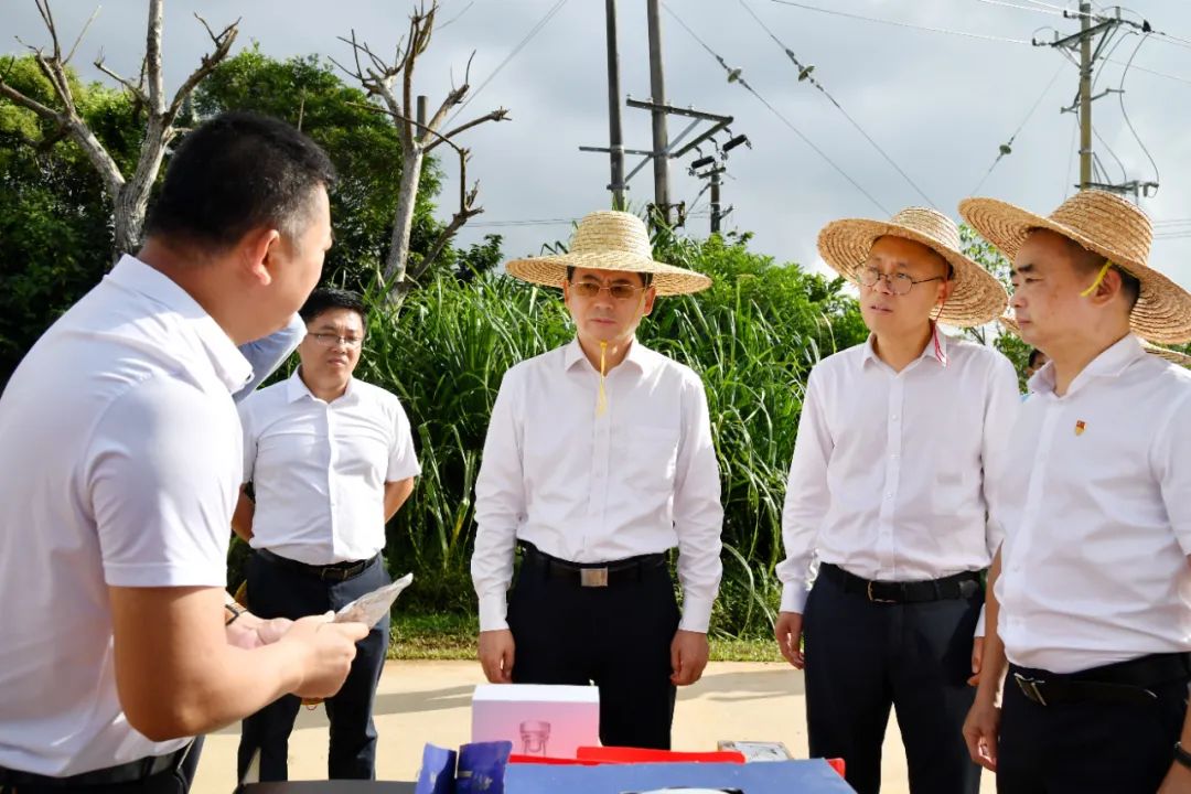 龙卫东：坚守生态环保底线 推动产业可持续发展 助力乡村全面振兴