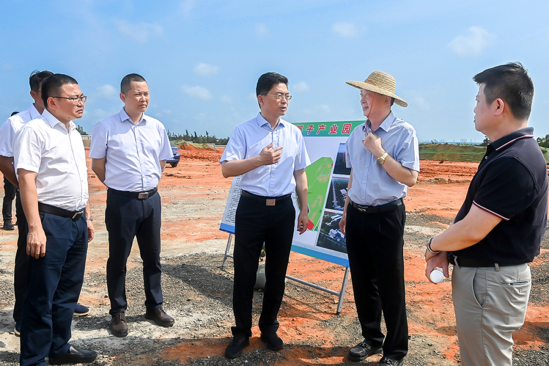 龙卫东调研龙楼椰子产业园项目建设及京基智农公司生态环保问题整改情况